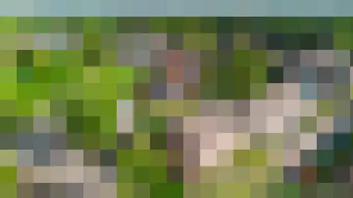 Mouterij 75 Gorredijk thumbnail 22