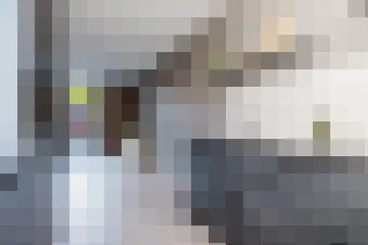 Mouterij 75 Gorredijk thumbnail 31