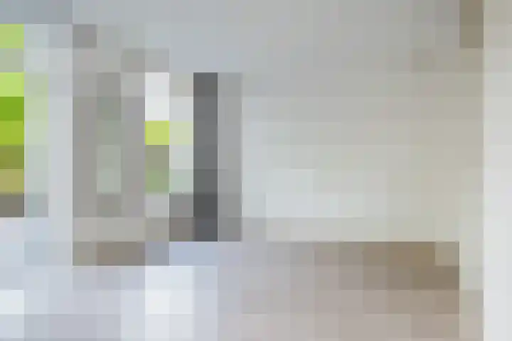 Mouterij 75 Gorredijk thumbnail 35