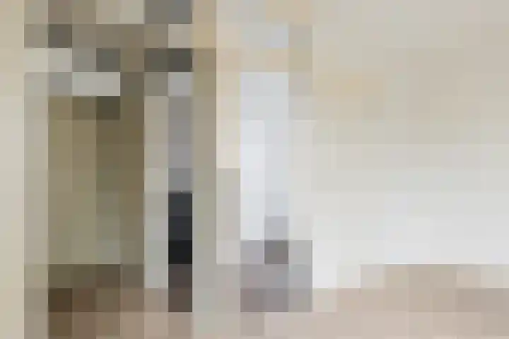 Mouterij 75 Gorredijk thumbnail 37