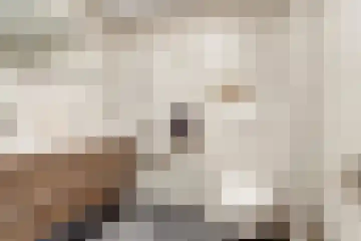 Moutlaan 45 Bemmel thumbnail 22
