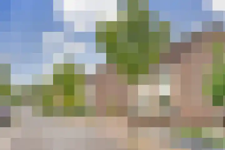 Moutlaan 45 Bemmel thumbnail 32