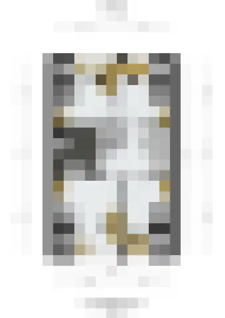 Moutlaan 45 Bemmel thumbnail 35