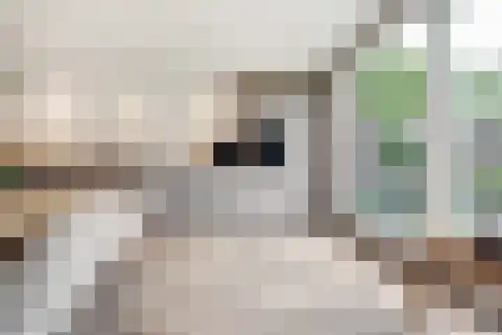 Moutlaan 45 Bemmel thumbnail 6