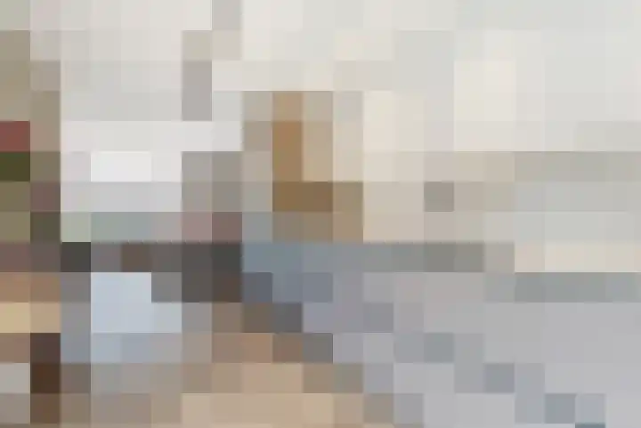Moutlaan 45 Bemmel thumbnail 9