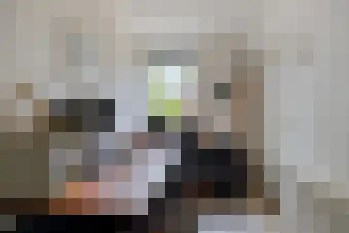 Mozartlaan 13 Oss thumbnail 17
