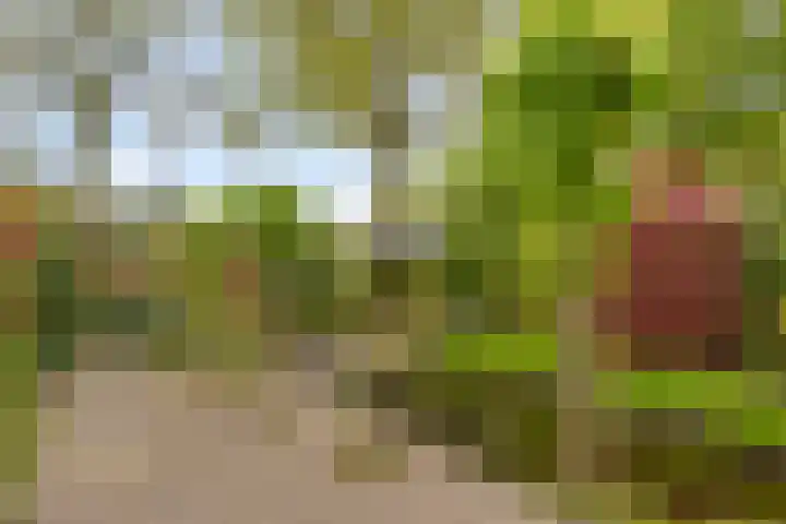 Mozartlaan 13 Oss thumbnail 29