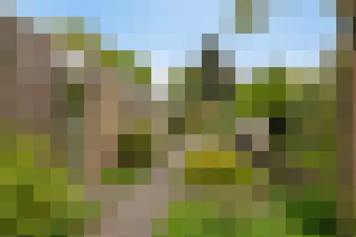 Mozartlaan 13 Oss thumbnail 30