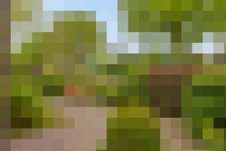 Mozartlaan 13 Oss thumbnail 31