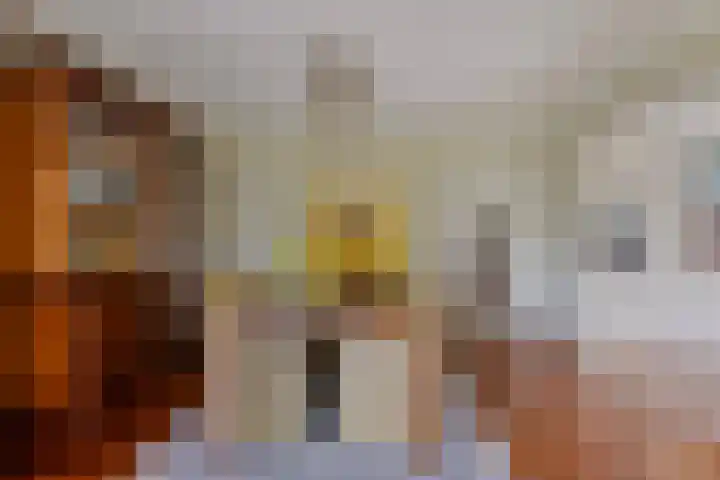 Mozartlaan 13 Oss thumbnail 7