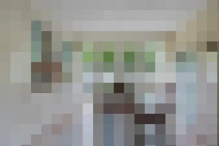 Mozartlaan 13 Oss thumbnail 8