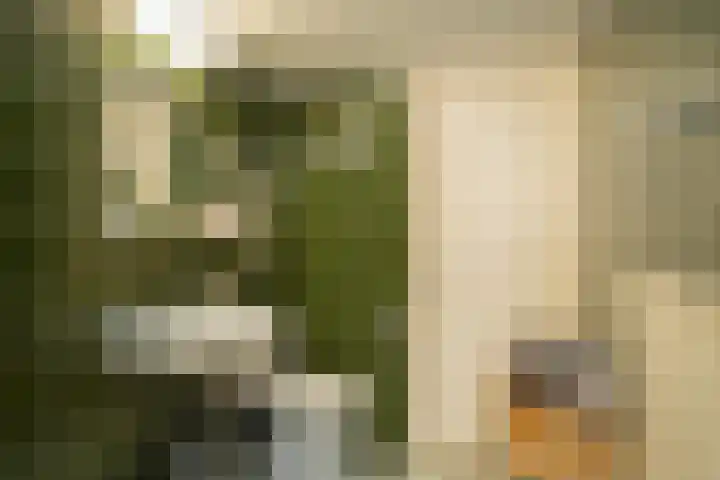 Mozartlaan 190 Enschede thumbnail 30