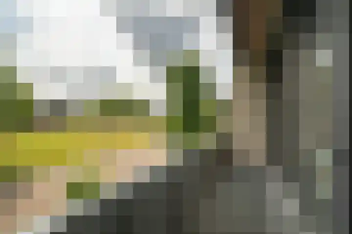 Mozartlaan 190 Enschede thumbnail 38