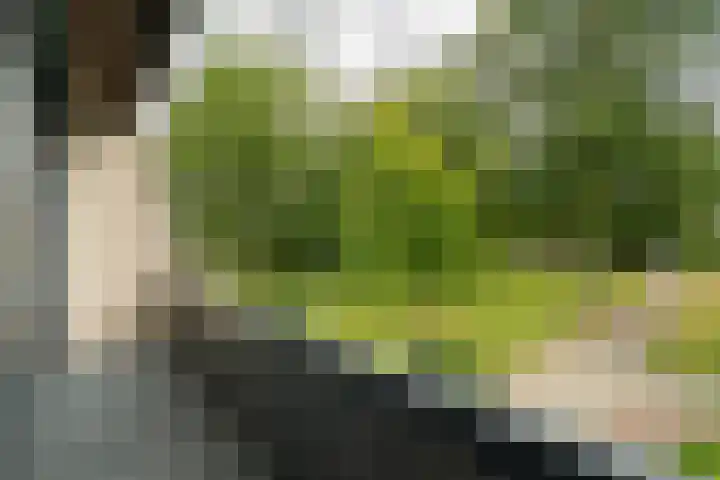 Mozartlaan 190 Enschede thumbnail 39