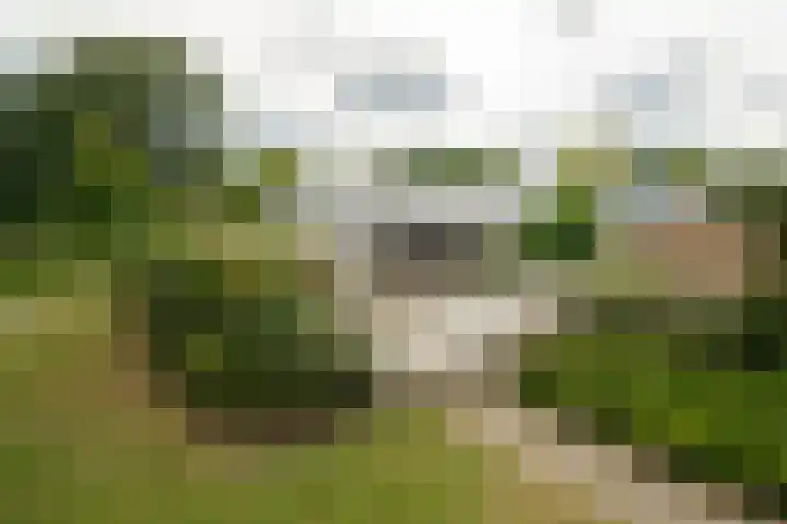 Mozartlaan 190 Enschede thumbnail 50