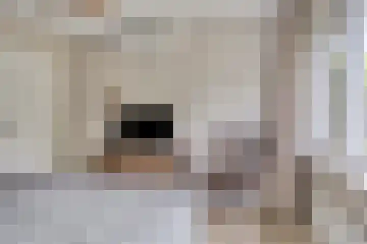 Mozartlaan 43 Drunen thumbnail 14