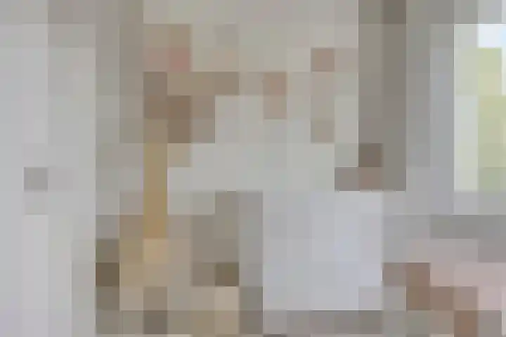 Mozartlaan 43 Drunen thumbnail 20