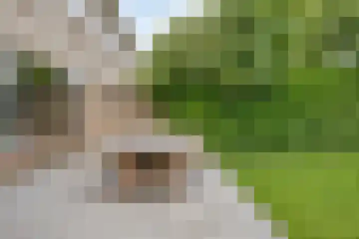 Mozartlaan 43 Drunen thumbnail 30
