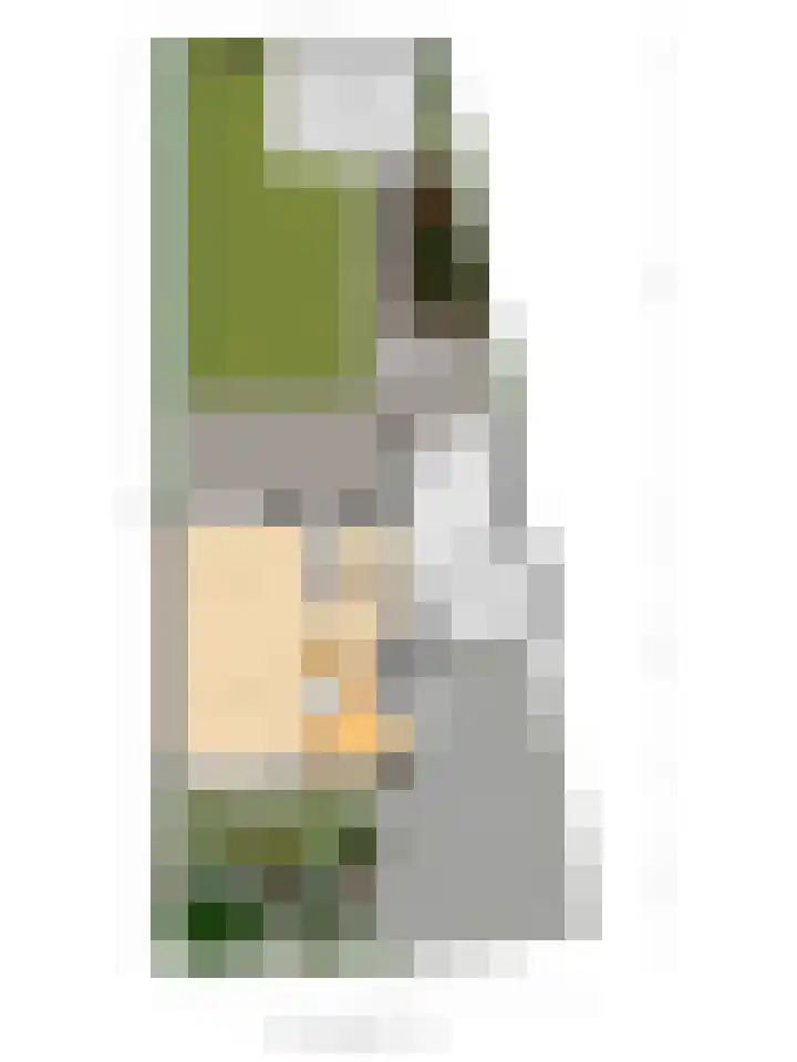 Mozartlaan 43 Drunen thumbnail 33