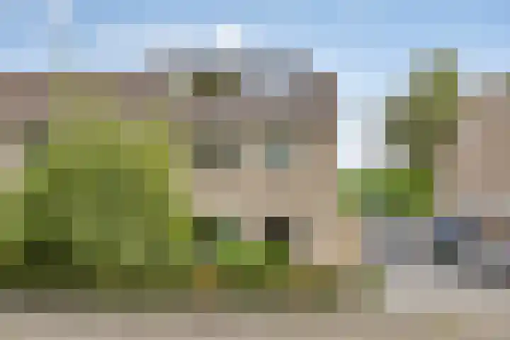 Mozartlaan 43 Drunen thumbnail 35