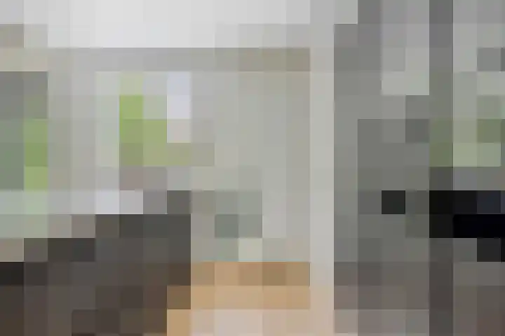 Mozartlaan 43 Drunen thumbnail 6