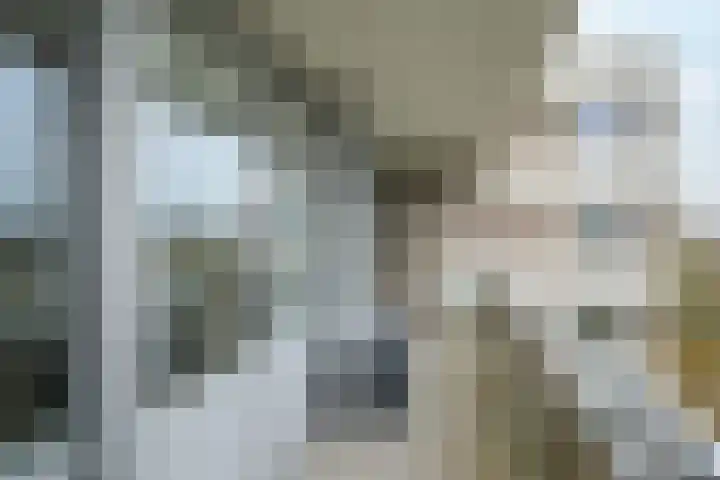Mozartlaan 48 Breda thumbnail 33