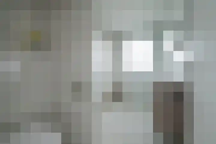 Mozartlaan 48 Breda thumbnail 36