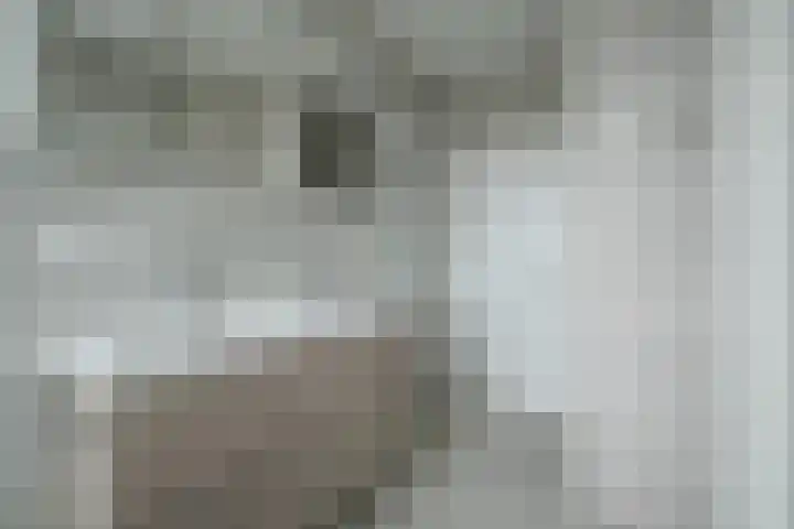 Mozartlaan 48 Breda thumbnail 37