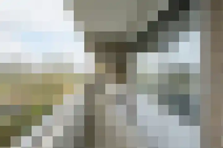 Mozartlaan 48 Breda thumbnail 42