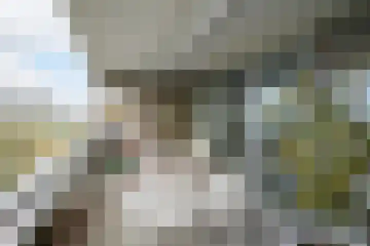 Mozartlaan 48 Breda thumbnail 44