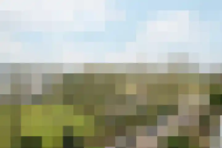 Mozartlaan 48 Breda thumbnail 47