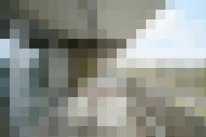 Mozartlaan 48 Breda thumbnail 48