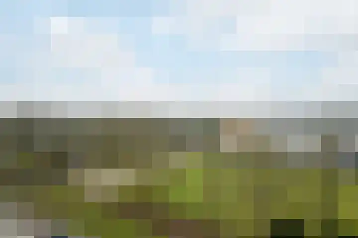 Mozartlaan 48 Breda thumbnail 51