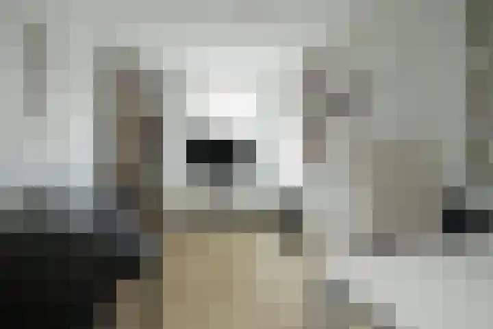 Mozartlaan 48 Breda thumbnail 52