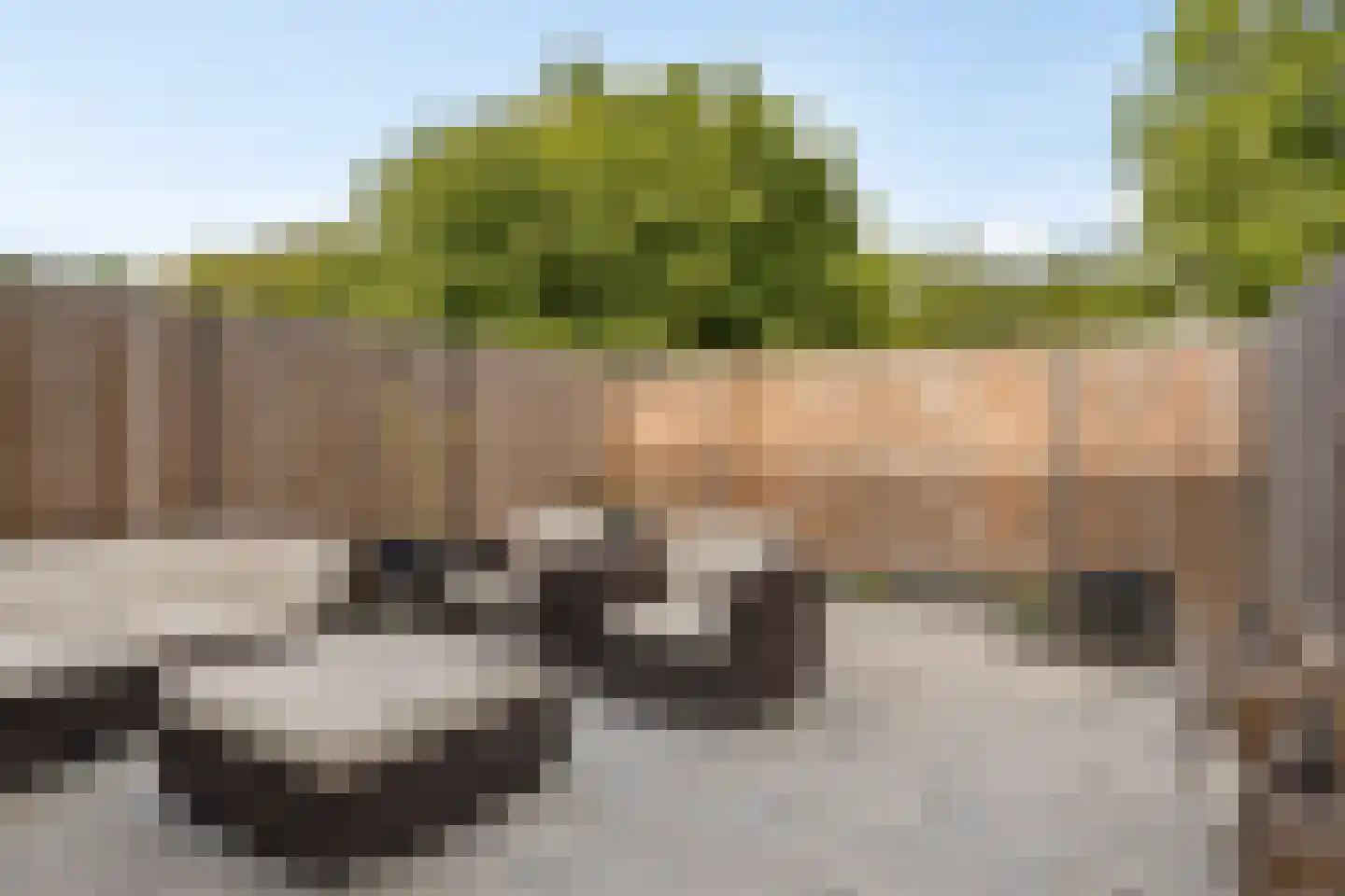 Mozartrode 7 Zoetermeer thumbnail 17