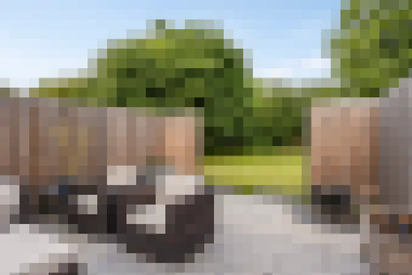 Mozartrode 7 Zoetermeer thumbnail 18
