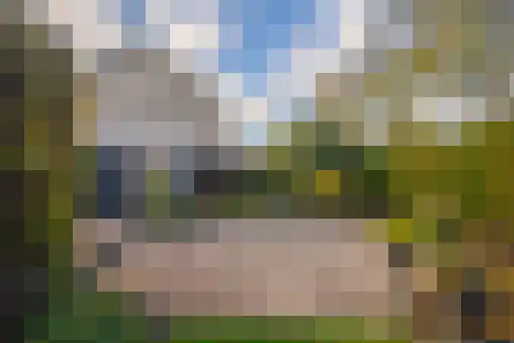 Mozartstraat 131 Elst thumbnail 20