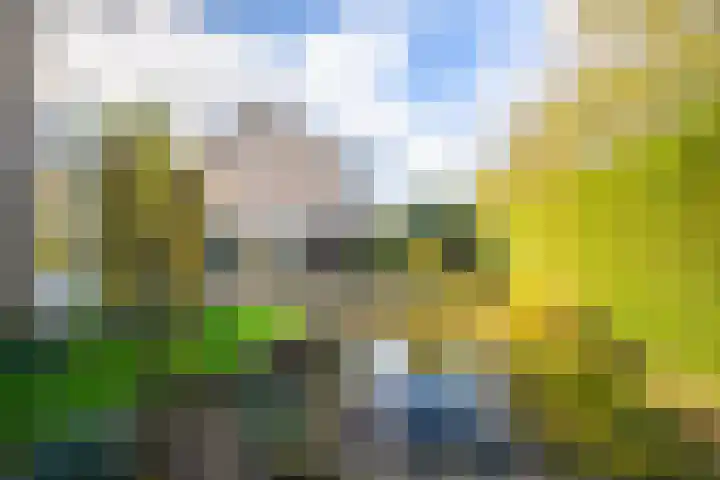 Mozartstraat 131 Elst thumbnail 24