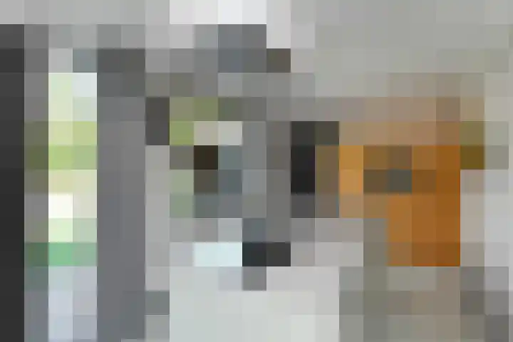 Mozartstraat 31 Elst thumbnail 12