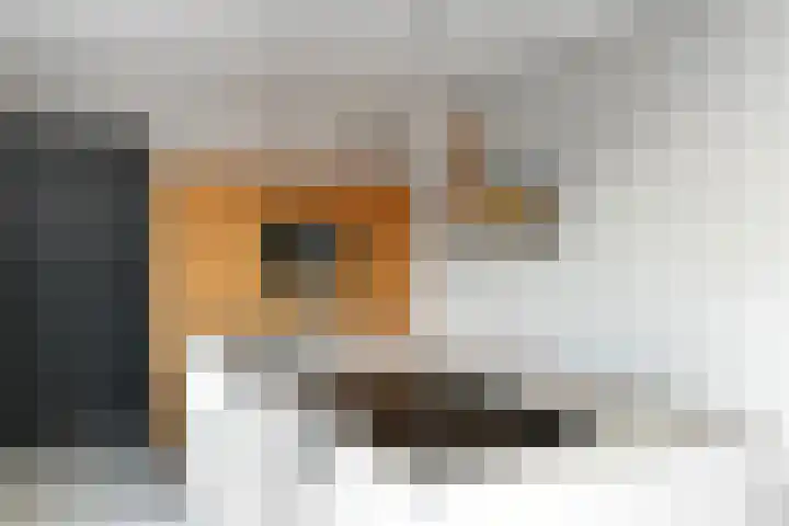 Mozartstraat 31 Elst thumbnail 13