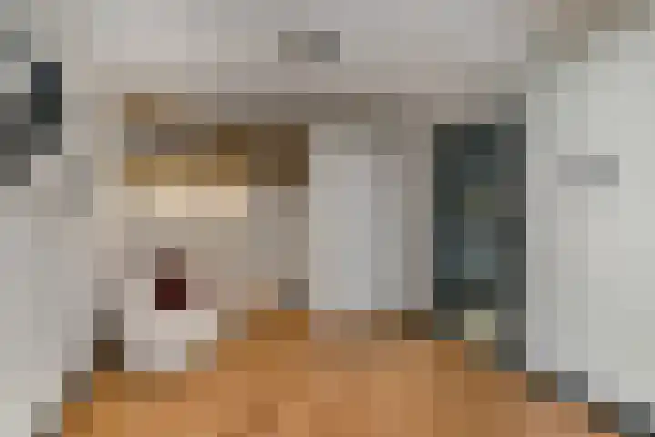 Mozartstraat 31 Elst thumbnail 17