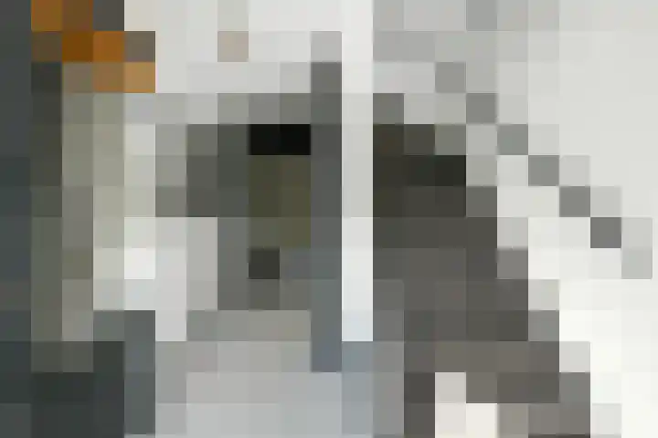 Mozartstraat 31 Elst thumbnail 19