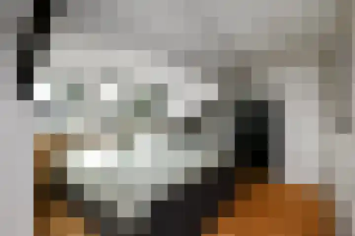 Mozartstraat 31 Elst thumbnail 30