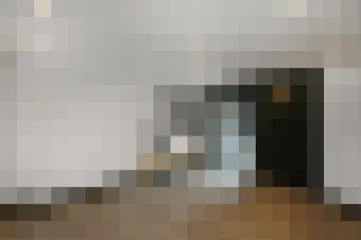 Mozartstraat 31 Elst thumbnail 41