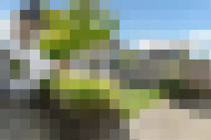 Mozartstraat 31 Elst thumbnail 43