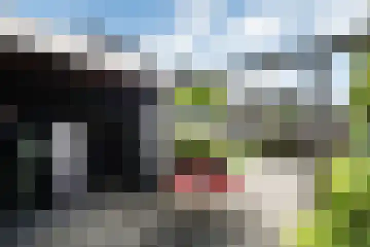 Mozartstraat 31 Elst thumbnail 46