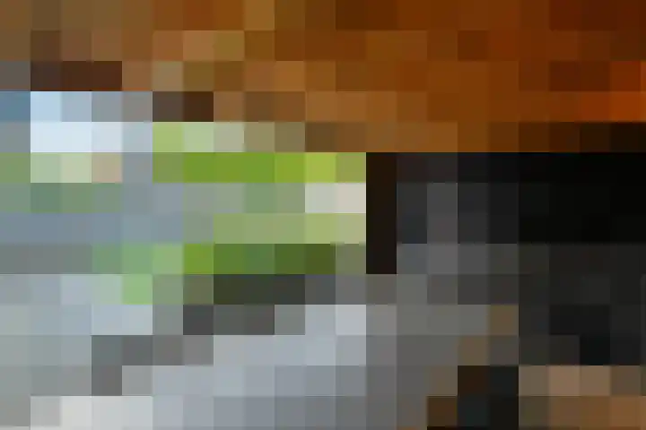 Mozartstraat 31 Elst thumbnail 48