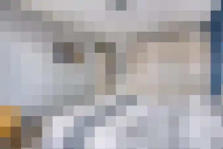 Mozartstraat 5 Hulst thumbnail 16