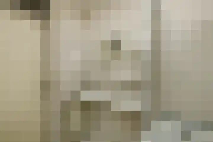 Mozartstraat 51 Elst thumbnail 27