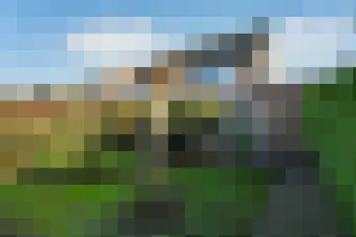 Mozartstraat 51 Elst thumbnail 38